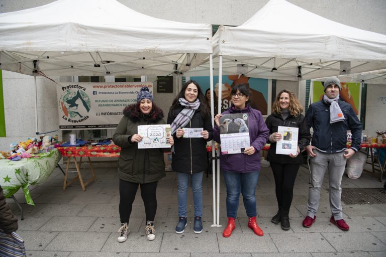 La Bienvenida atendió a 400 perros en el año 2019, en el que han aumentado tanto abandonos como adopciones nacionales