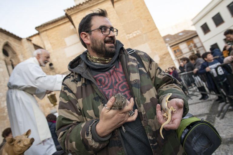 Una extraña pareja se lleva la estatuilla de San Antón en Ciudad Real