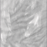 banner-300×600-px