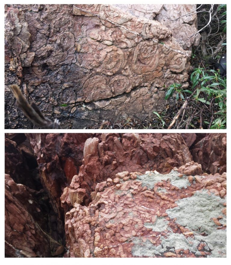 Hallan en Puertollano nuevos fósiles de gusanos arenícolas