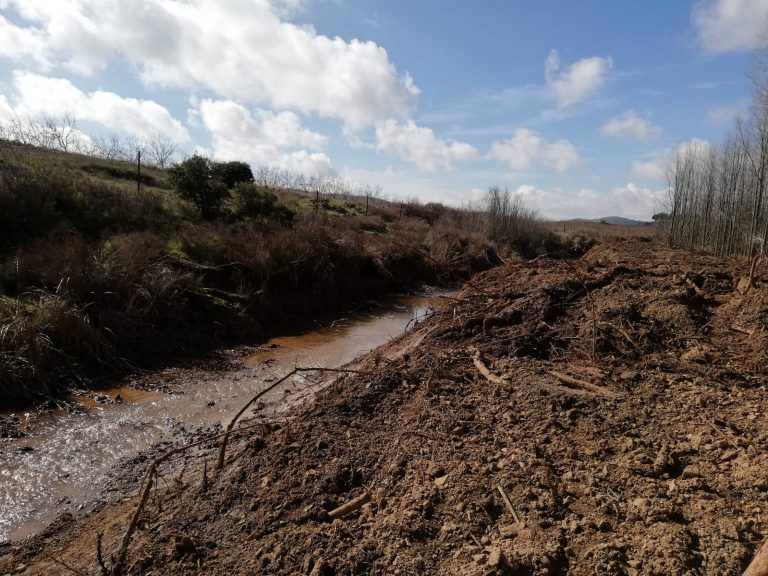 La Confederación Hidrográfica del Guadiana destruye uno de los tramos de ribera mejor conservados de Valdepeñas
