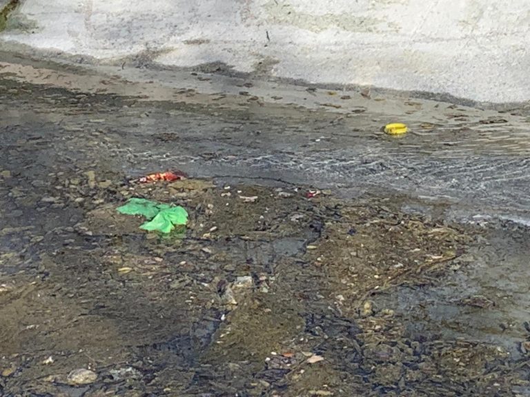 Ciudad Real: VOX denuncia la “ineficiente” limpieza del lago del Parque del Pilar para su llenado﻿