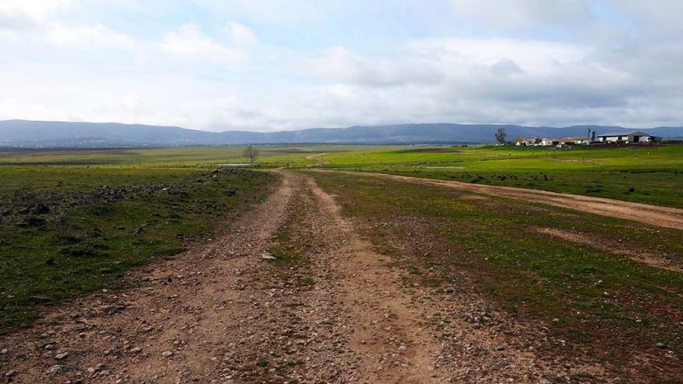 Ecologistas en Acción pide el archivo de los proyectos de centrales solares de Brazatortas