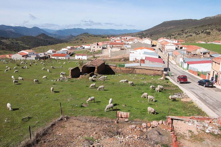 El desafortunado mensaje del Ayuntamiento de San Lorenzo de Calatrava que ha indignado a los internautas entre acusaciones de racismo