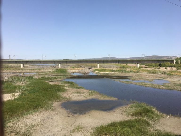 Afrontar la emergencia climática desde municipios y mancomunidades. El trilema de las tres Es