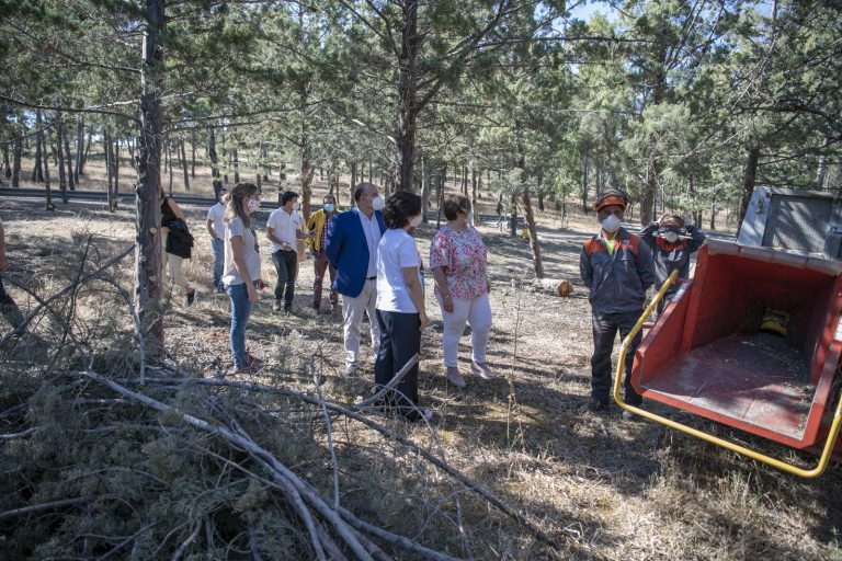 Ciudad Real: GEACAM realiza trabajos de poda y limpieza en más de trece hectáreas de  La Atalaya