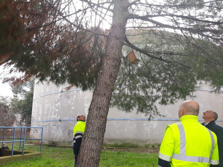 El programa BiObserva de Aguas de Puertollano controla la flora exótica invasora en sus instalaciones