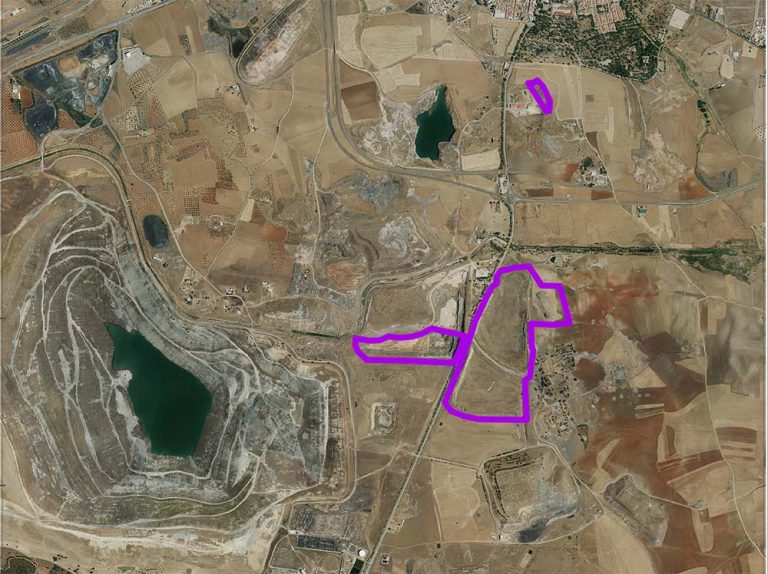 La «Pompeya paleobotánica» de Puertollano será restaurada y protegida para garantizar su conservación