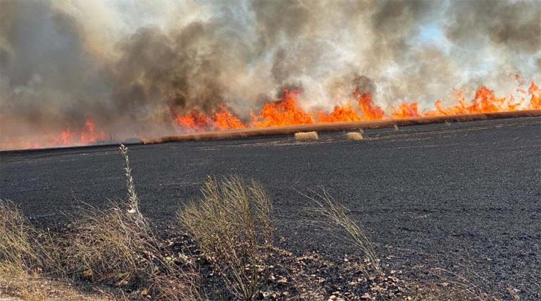 Actúan en la extinción de un incendio que ha arrasado maquinaria en Ciudad Real