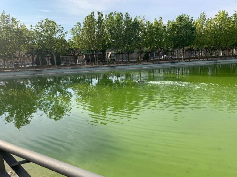 Ciudad Real: El PP denuncia el estado de “abandono” del Parque del Pilar