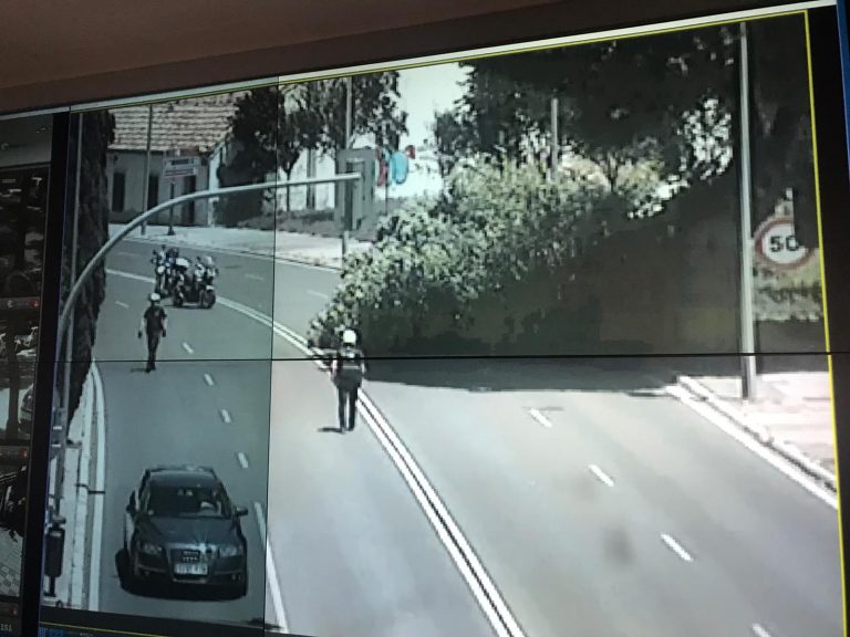 Una gran rama de un olmo de la Ronda de la Mata cae sobre la calzada