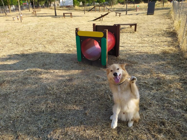 Puertollano: Reabren los parques caninos, el centro de ocio «Dehesa Boyal» y La Rincona