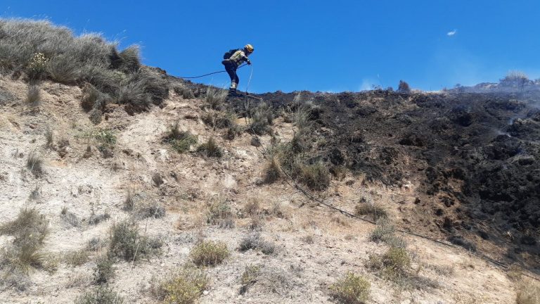 9 de cada 10 incendios son evitables. Por ello, tú eres esencial, planta cara a los incendios forestales