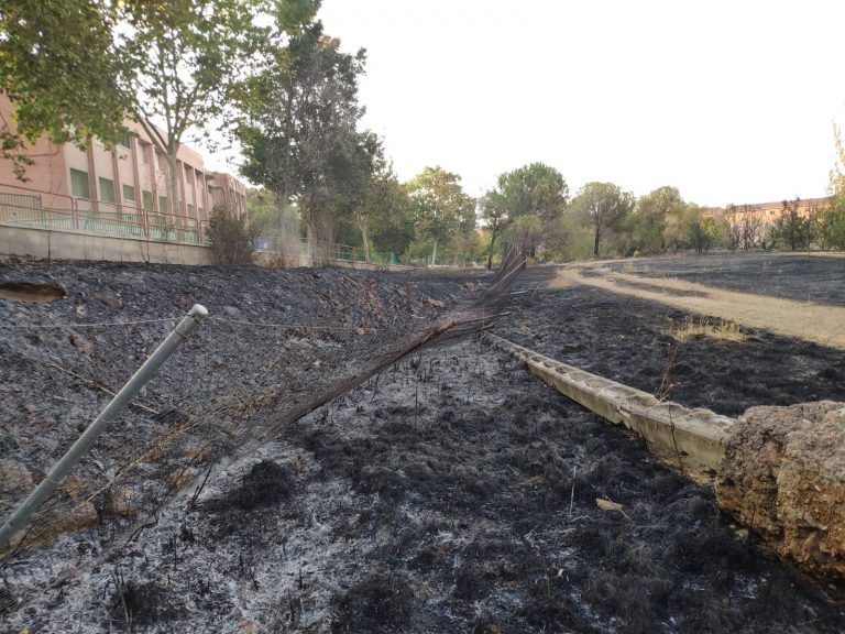 El «malnacido» que asola Puertollano: El equipo de Gobierno pide ayuda para capturar al incendiario