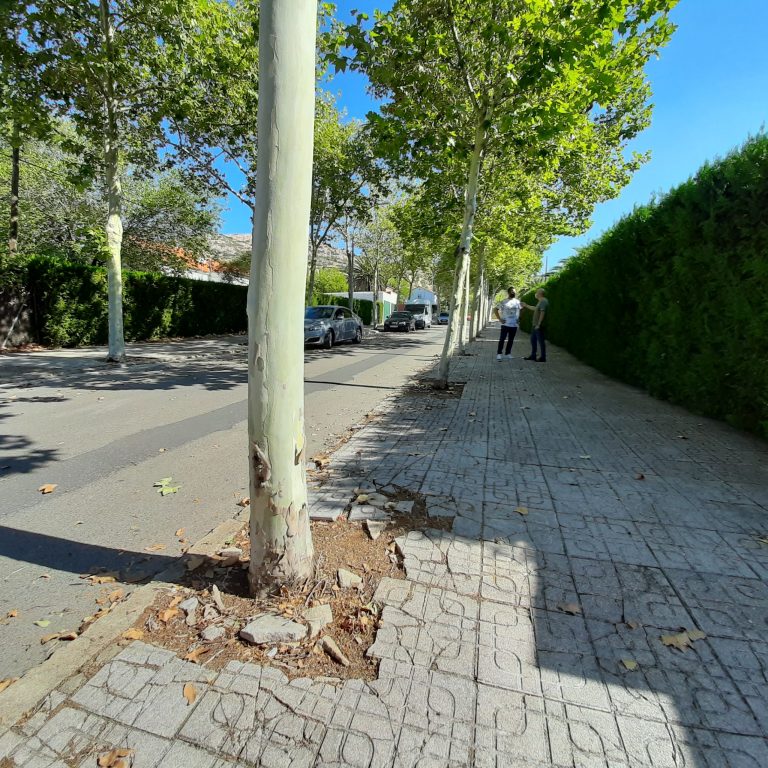 El Ayuntamiento de Puertollano acomete la mejora de acerados deteriorados por especies arbóreas