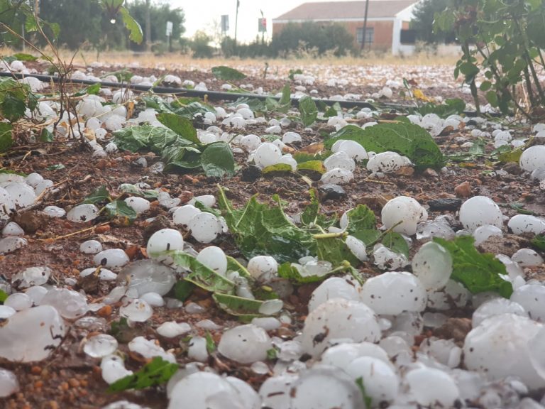 Traumatismo ocular, fractura en la cabeza y cadera rota, parte médico de la descarga de granizo
