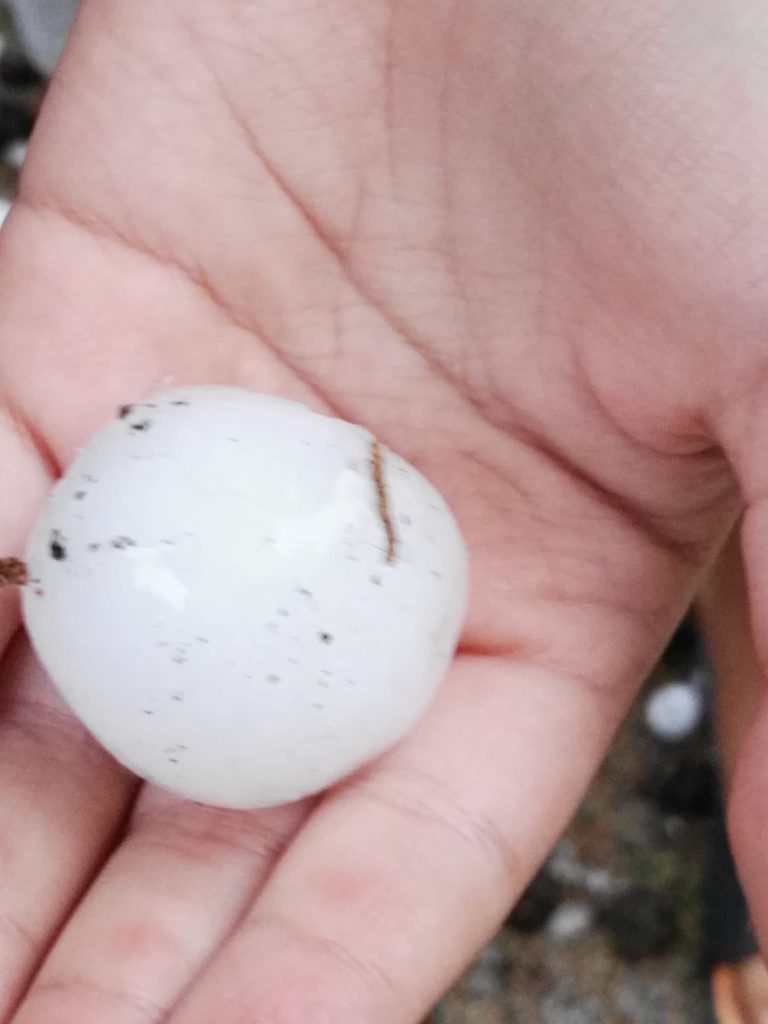 ¿Por qué ha sido tan intensa la granizada de Ciudad Real?