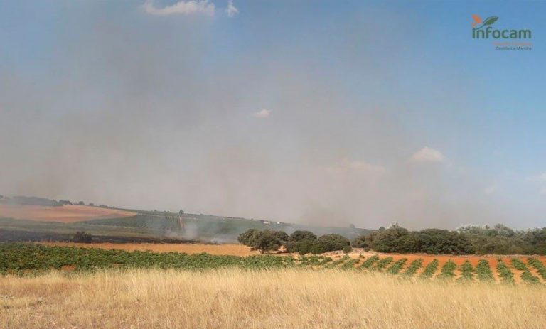 Extinguido el fuego declarado en Socuéllamos este domingo