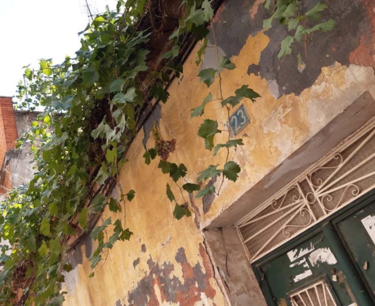 Puertollano: El insólito fruto de la calle Amargura