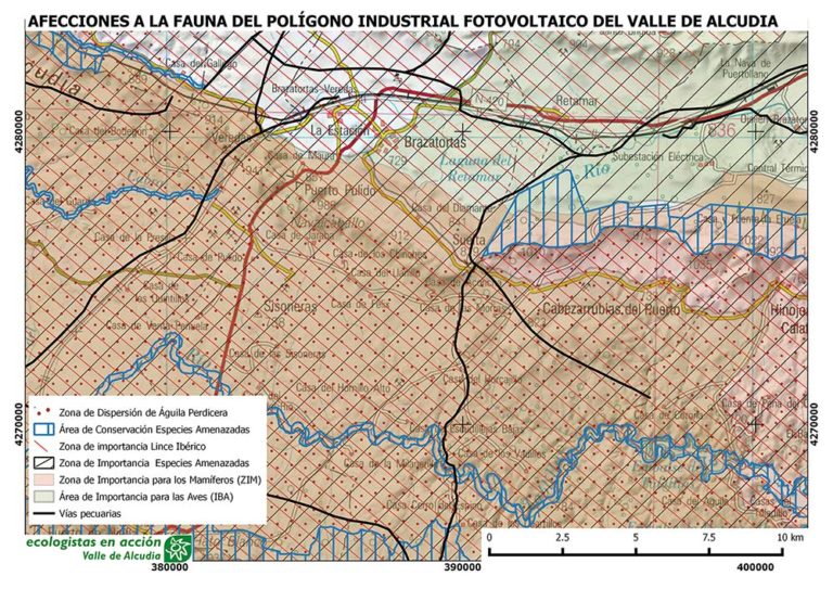 Ecologistas en Acción denuncia el impacto de los macroparques solares de Manzanares y Valle de Alcudia