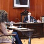 Pleno ordinario (octubre 2020) (12)