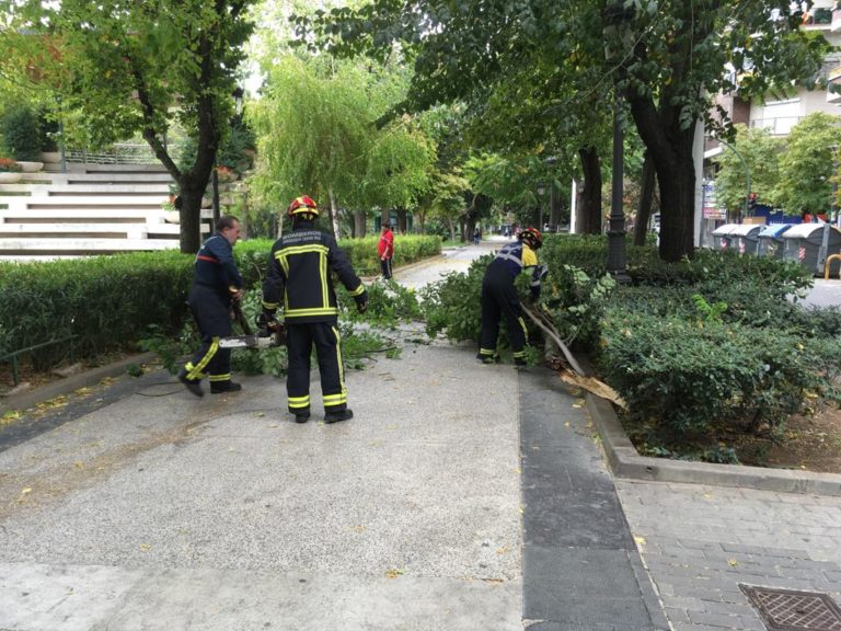 Bárbara sopla con fuerza en Puertollano