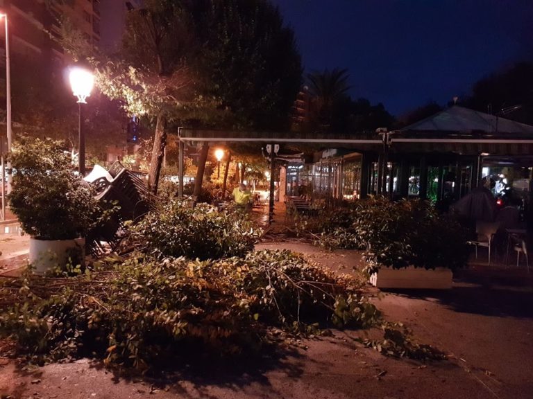 Puertollano: Un gran árbol se desploma sobre el chiringuito del Paseo y otro sobre la fachada del Bar de Jero