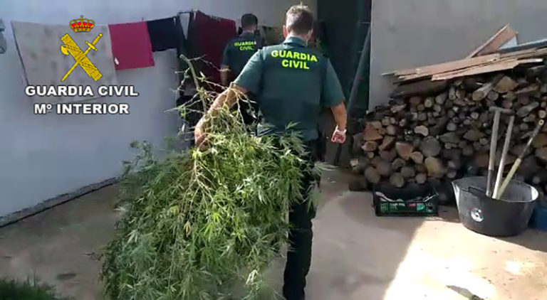 La Guardia Civil ha detenido a 18 personas en una operación contra el cultivo y venta de marihuana