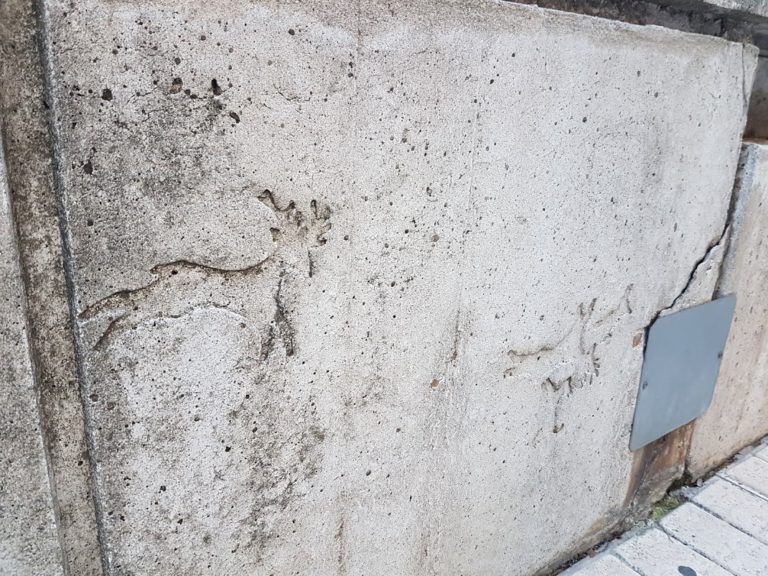 Puertollano: Los intrigantes jeroglíficos del Paseo del Bosque