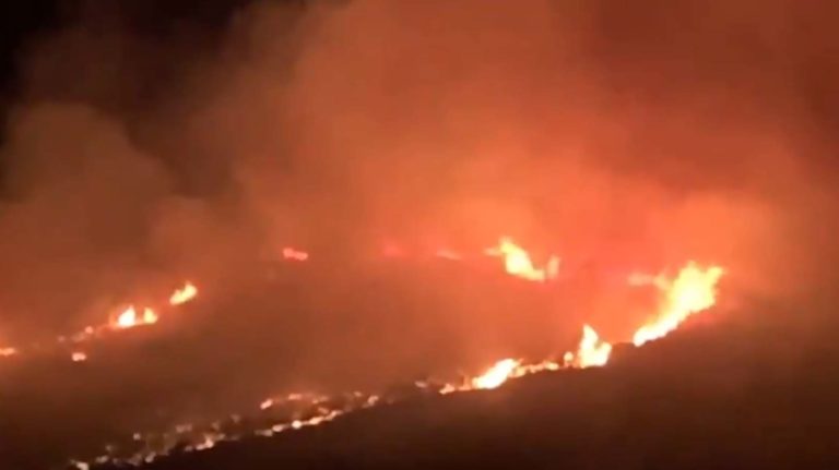 Controlado un incendio forestal en Malagón