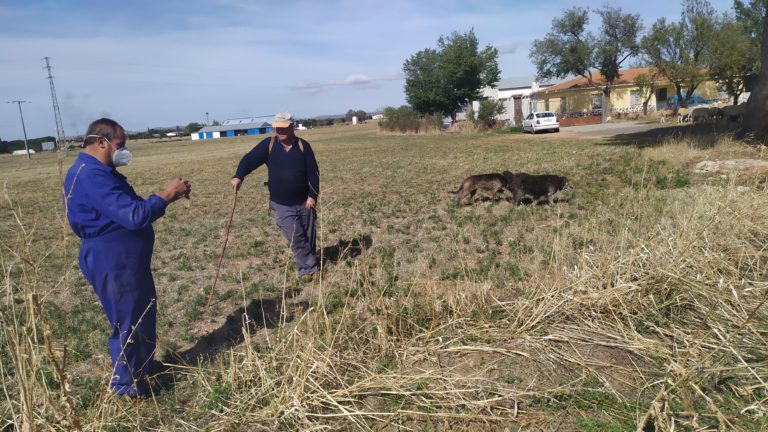 José Luis o la soledad pastoril de quince horas entre veredas