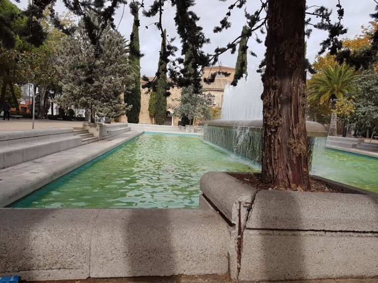 Puertollano: El amenazante aspecto de los alcorques de la Virgen de Gracia