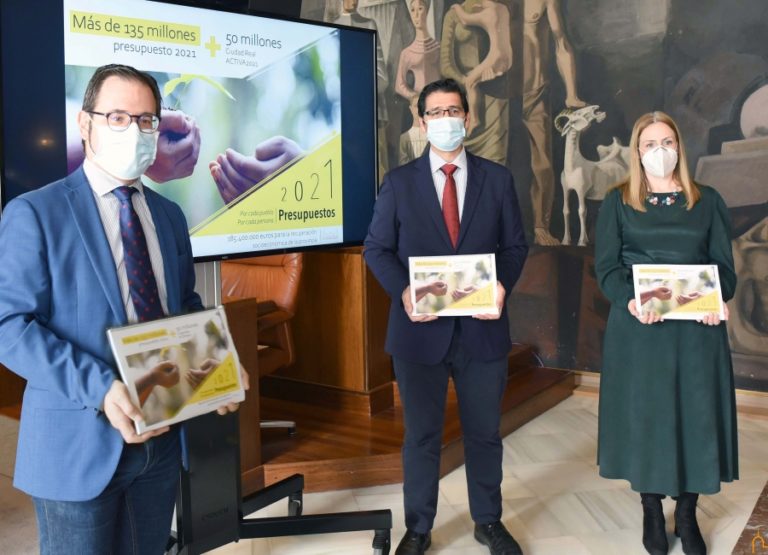 La Diputación de Ciudad Real prioriza en su presupuesto 2021 la recuperación socioeconómica de la provincia con 135 millones