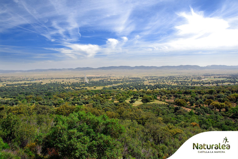 Parque Natural del Valle de Alcudia y Sierra Madrona, una joya intemporal de la naturaleza