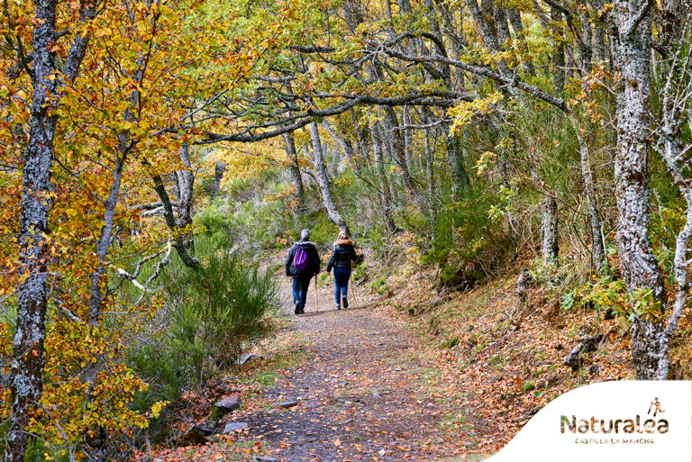 Parque Natural de la Sierra Norte de Guadalajara, un lugar para vivir y sentir