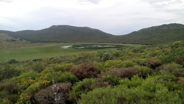 El singular vulcanismo del Valle de Alcudia: La Alberquilla, el Alhorín y los Castillejos de La Bienvenida