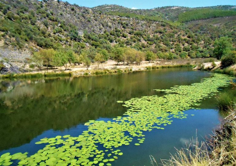Puebla de Don Rodrigo: el gran atractivo de un imponente patrimonio natural