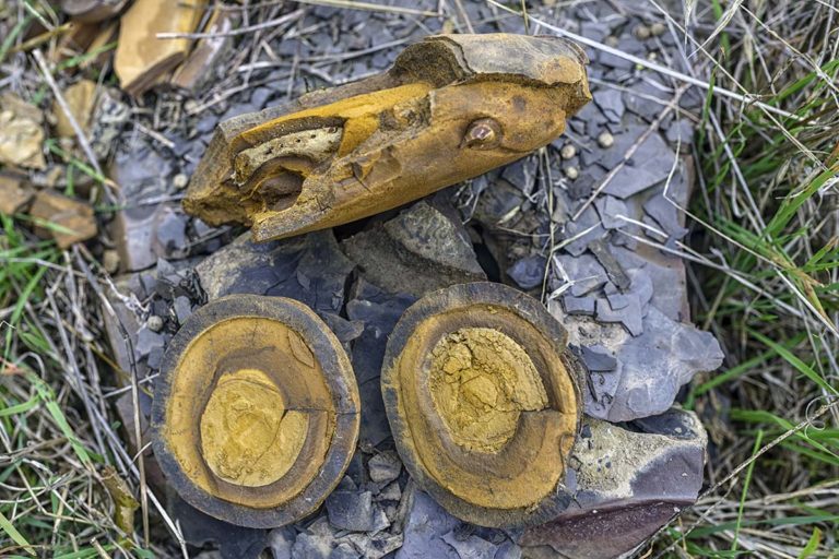 El Carbonífero de Puertollano: la peculiaridad del futuro Geoparque Volcanes de Calatrava