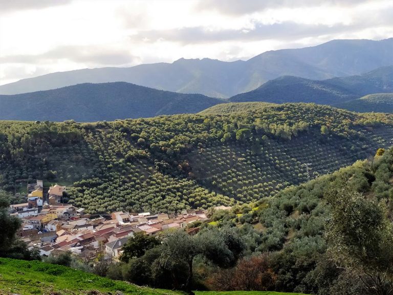 Solana del Pino: De la fascinación por el arte rupestre al réquiem por Las Tiñosas