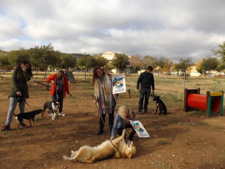 Ayuntamiento de Puertollano y protectora Huellas renuevan su convenio de colaboración