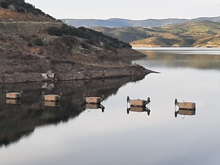 Puertollano: Declarada situación de «alerta» en el pantano de Montoro por sequía