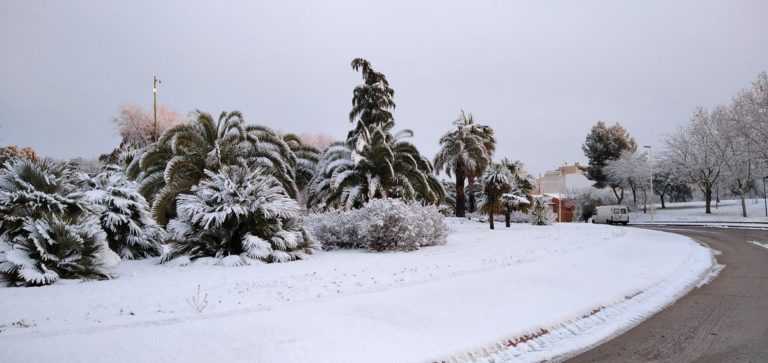 Aviso amarillo en Puertollano por temperaturas de hasta seis grados bajo cero
