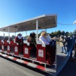 reyes magos trenecito