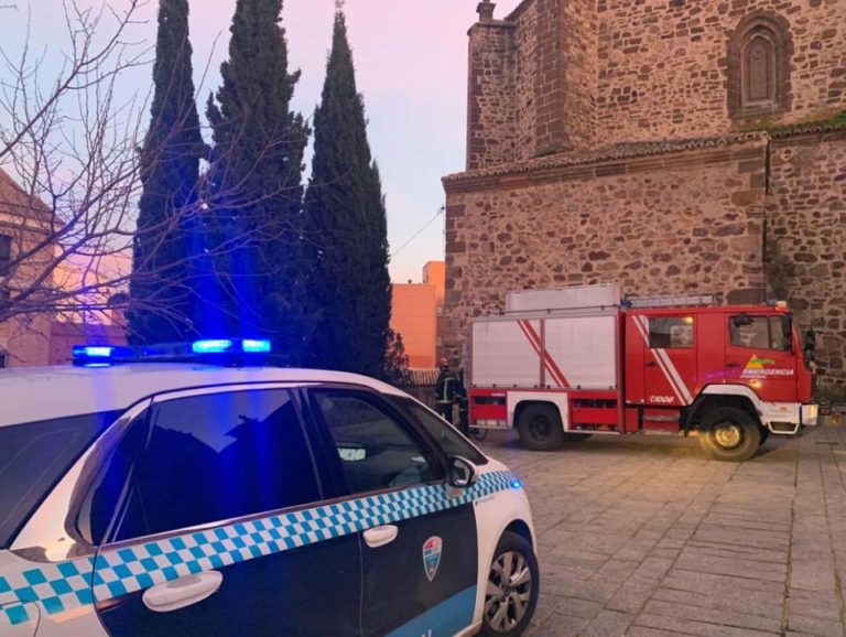 Puertollano: Los bomberos, obligados de nuevo a bajar a un gato de un ciprés en la Iglesia de La Asunción