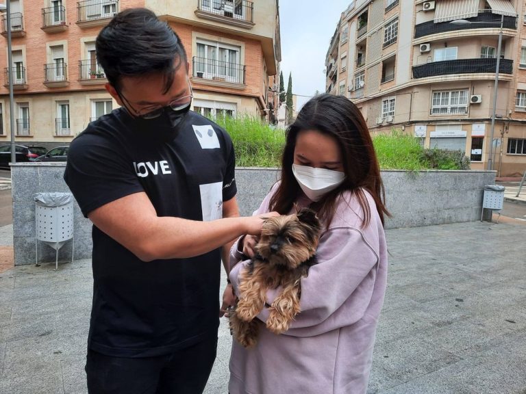 Encuentran en Puertollano a una perrita desaparecida en Illescas