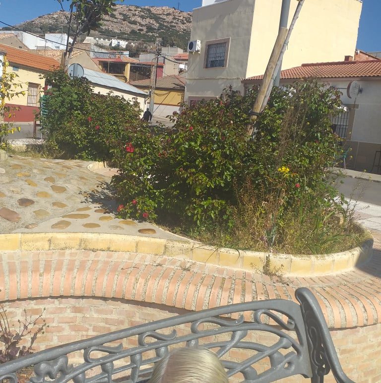 Puertollano: Piden más cuidado para el arbolado de la calle Méjico