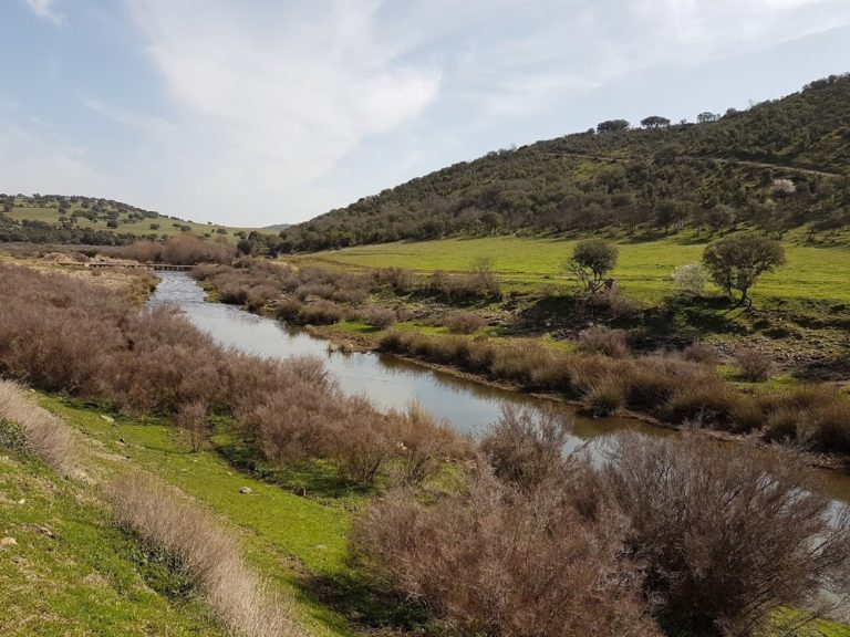 Podemos Puertollano pedirá la regeneración y reforestación del cauce del rio Ojailén
