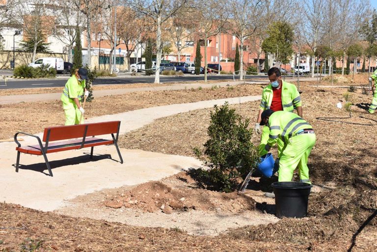 El Taller de recualificación “Ciudad Real Verde” mejora zonas verdes de la Avenida de los Descubrimientos