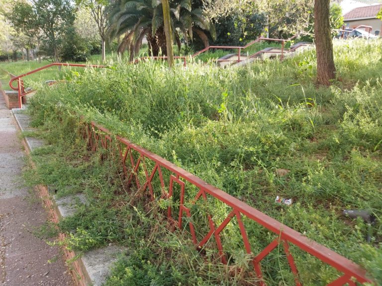 El PP critica que la maleza crezca «de forma desmesurada» en Puertollano