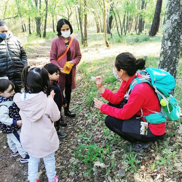 Puertollano: Comienzan las rutas “Naturaleza en familia” con un paseo interpretativo a la Chorrera de Sierpes